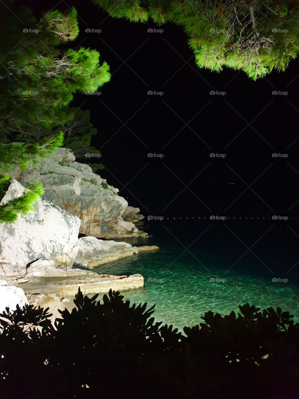 Croatia, Dolmazia, Brela.  Summer, sea, night landscape: a small, uninhabited bay with a pebble beach, emerald pine trees and clear sea.  August warm night on the Adriatic coast