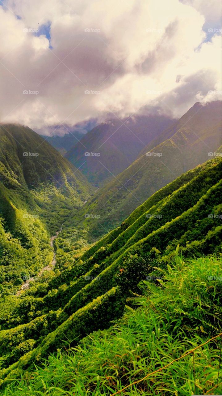 green mountains in Maui