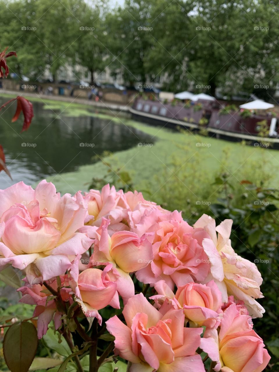 Colourful little Venice
