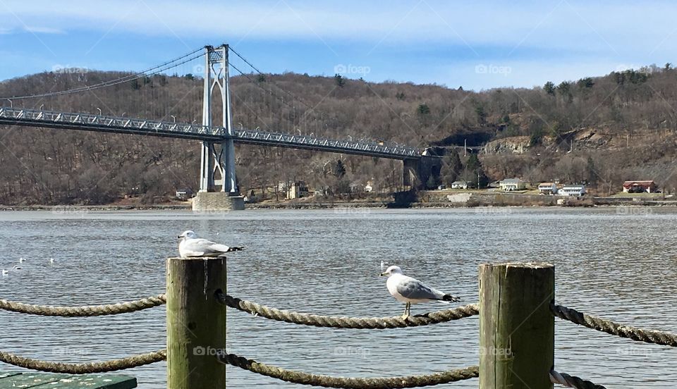 Mid Hudson Bridge 