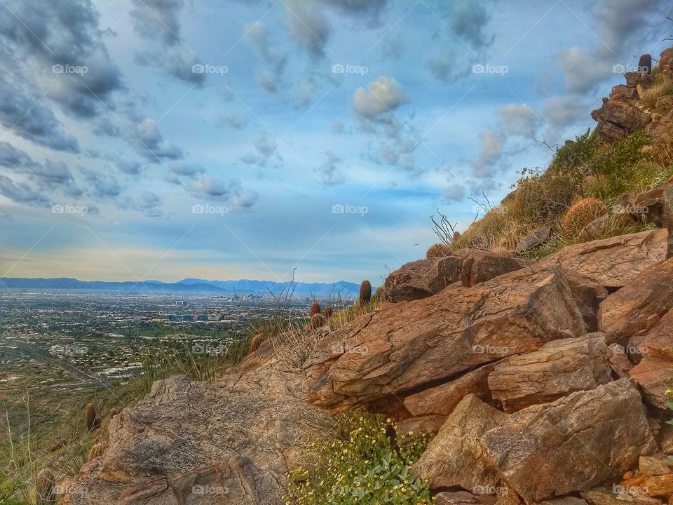 Stone and flower mountainside
