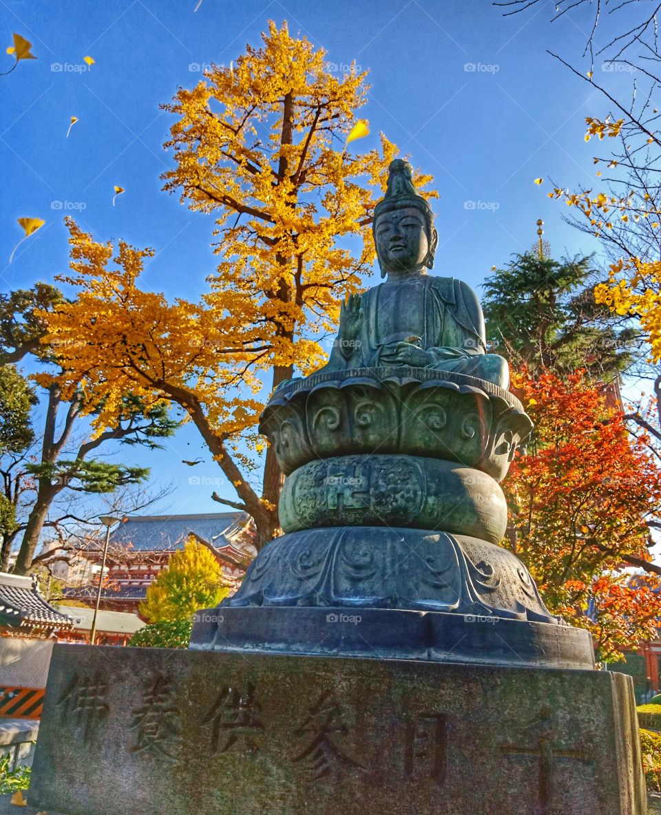 Buddha in asakusa temple, Tokyo,  Japan