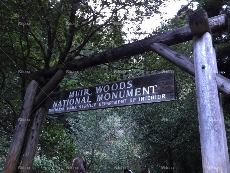 Muir Woods - California