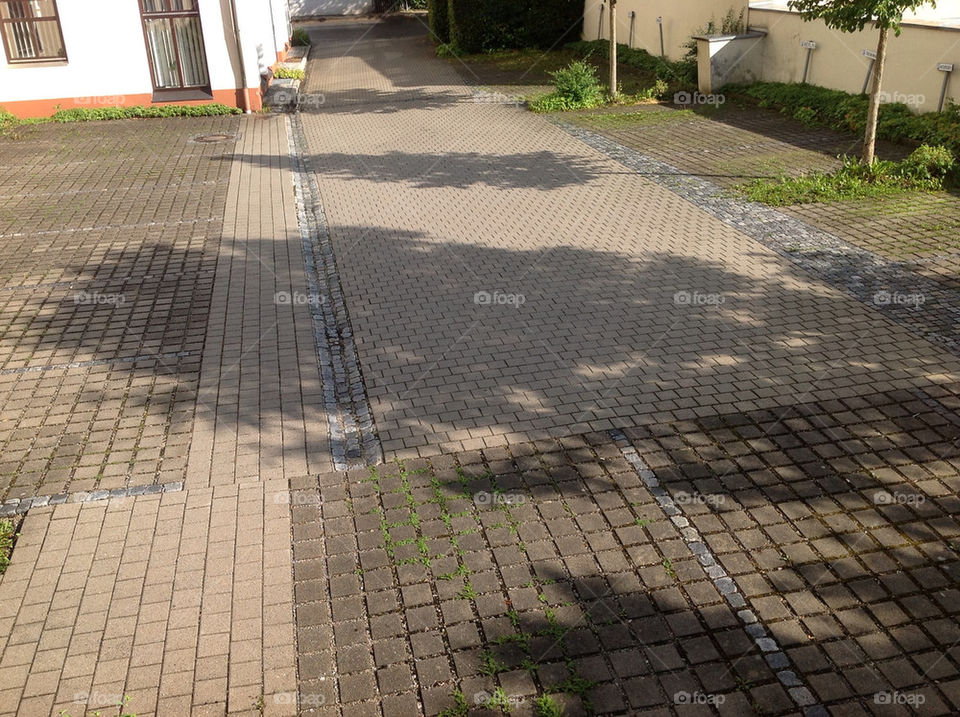 trees shadows empty parking by lexlebeur