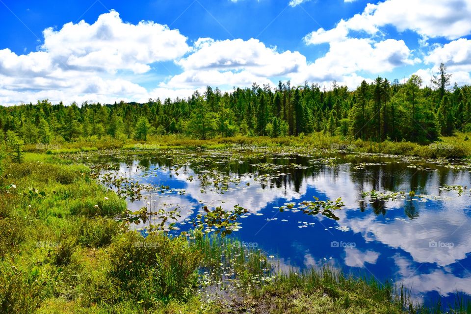 Reflection of sky and clouds in pond