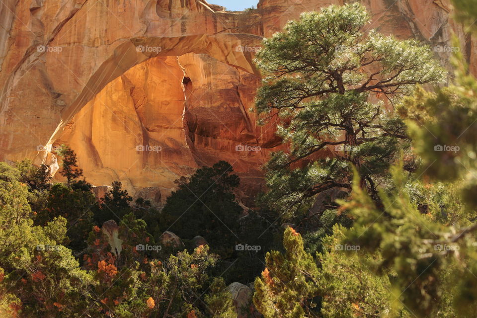 La Ventana Natural Arch 