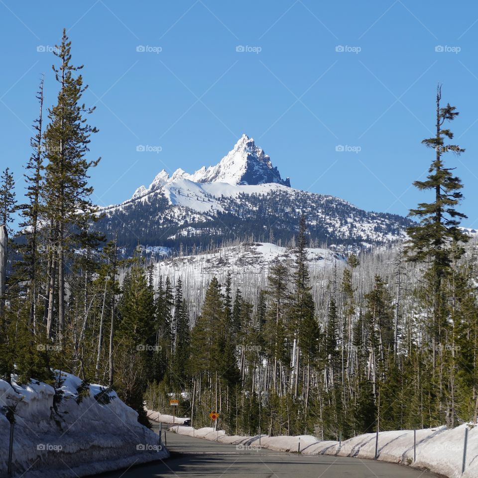 The magnificent snow covered Three Fingered Jack in Oregon’s Cascade Mountain Range against a clear blue sky on a beautiful spring day.