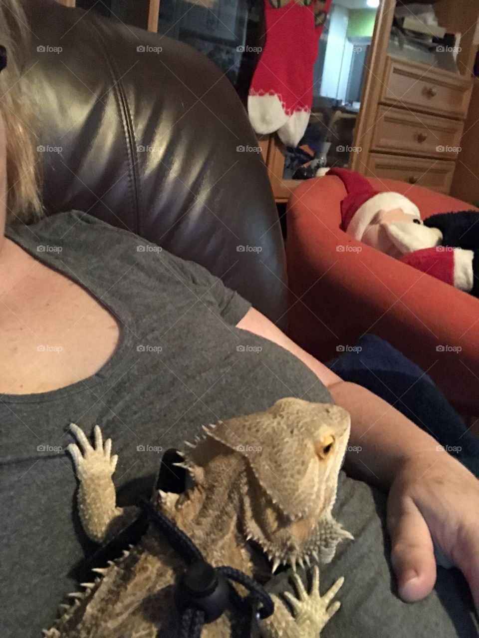Selfie of quality lap time with Stormy the bearded dragon. He’s a little prickly but still fun to hold and he loves watching animal videos. 