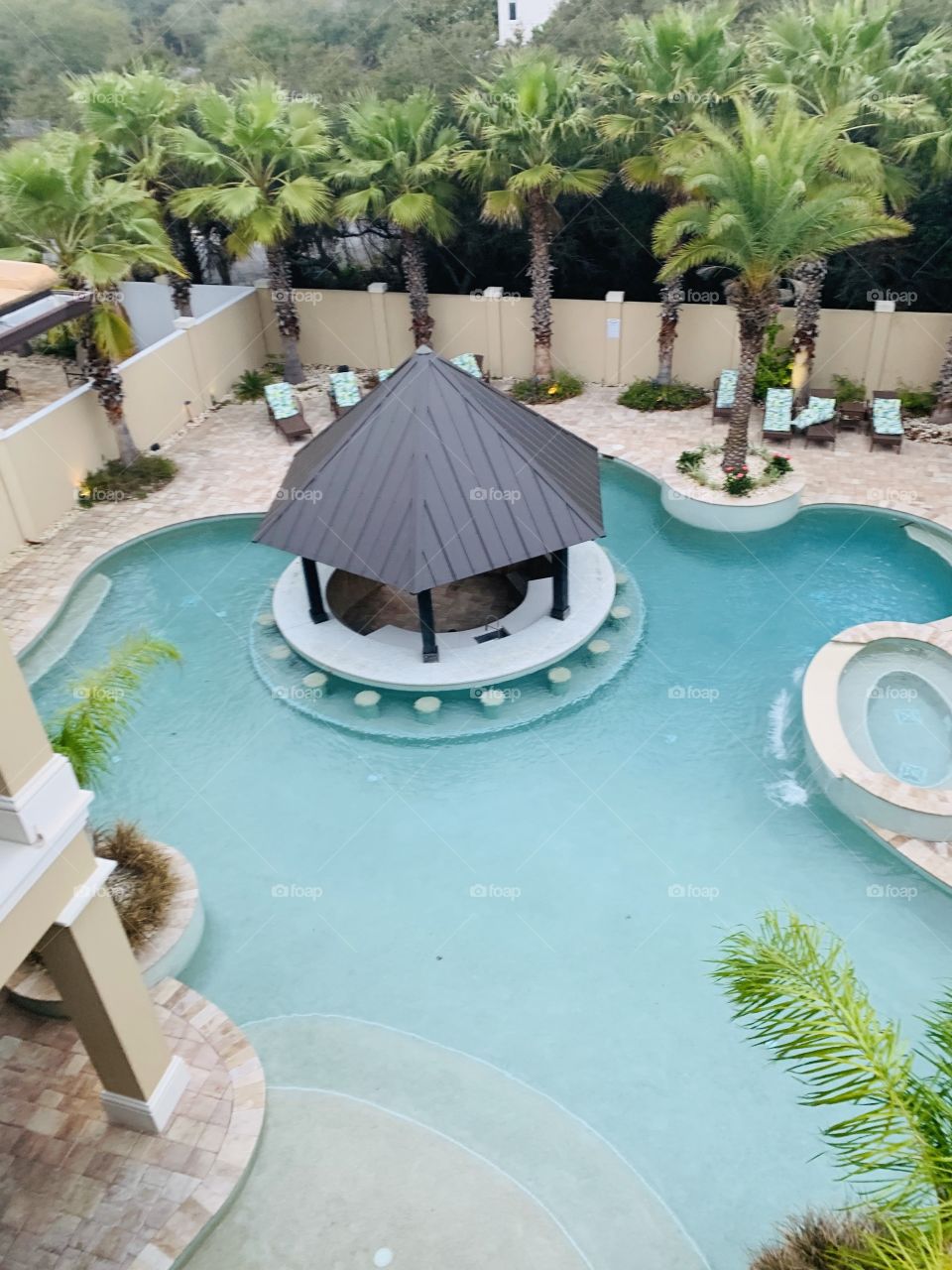 Swimming pool and palm trees in Destin, Florida 