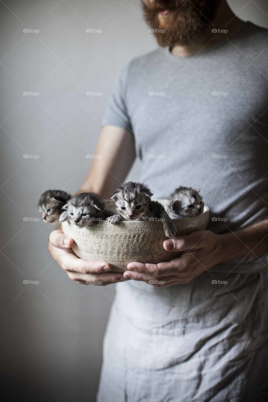 Kittens in a bowl