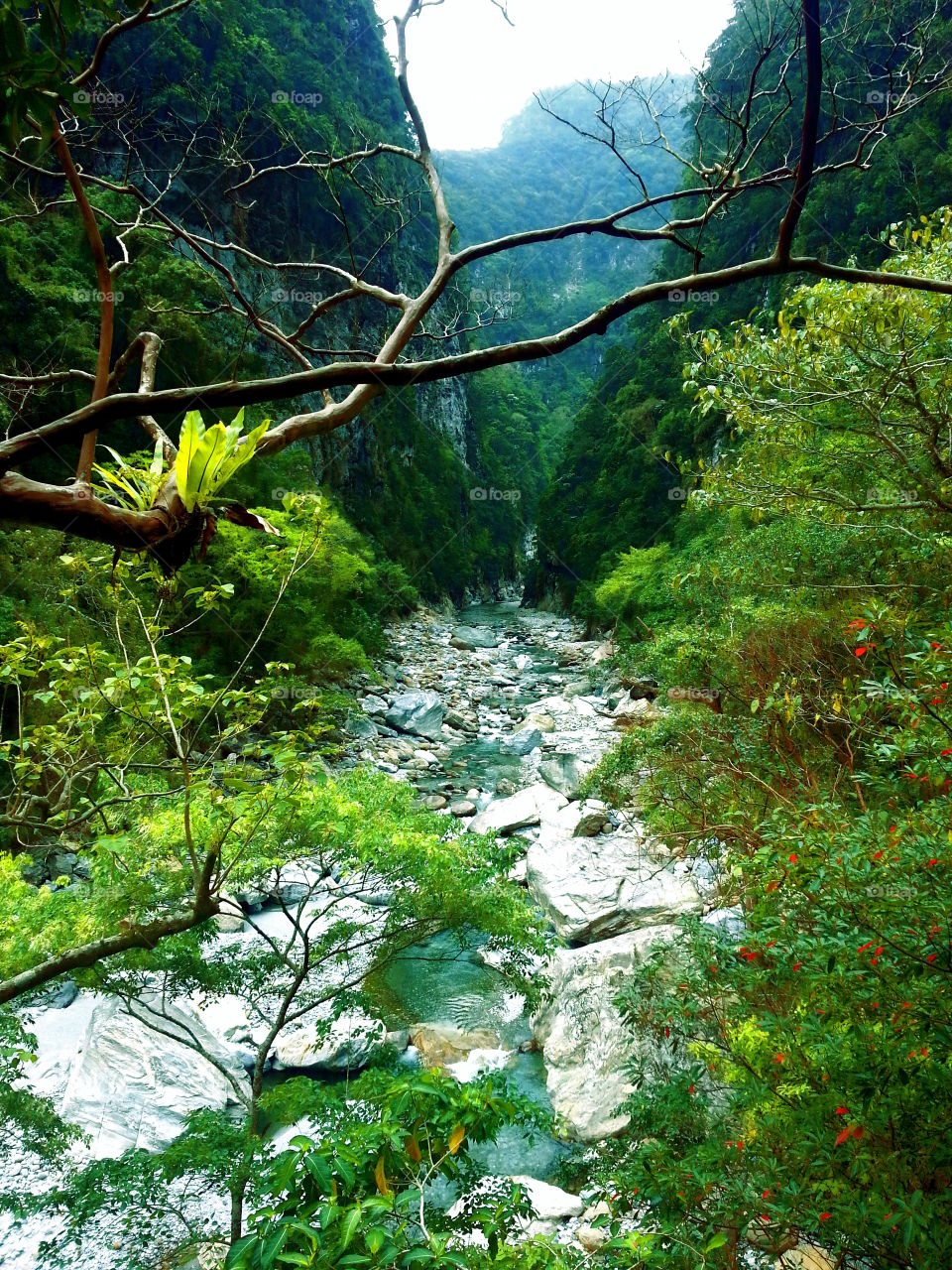 River valley Taroko Park