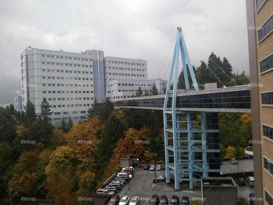 sky bridge over the hospital