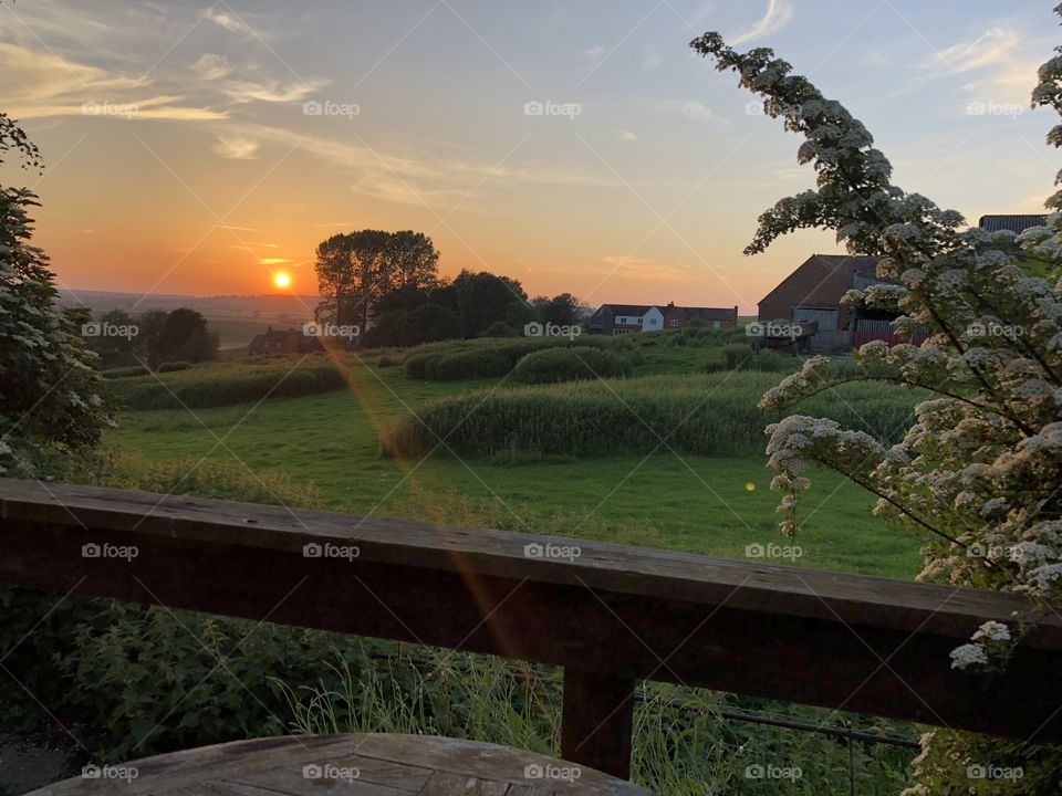 English summer evening 