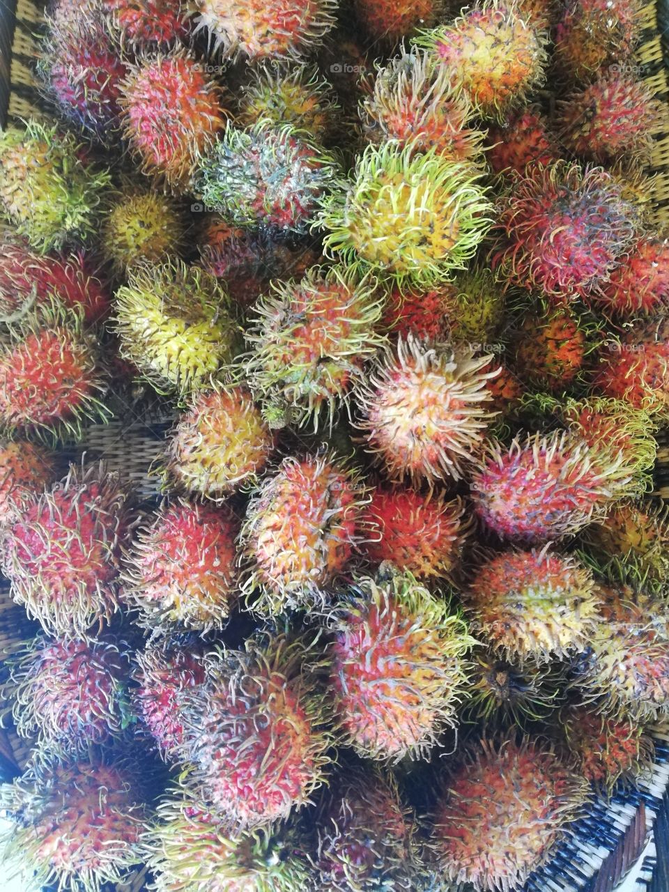 Sweet exotic tropical fruit Rambutan of Rambutan tree, farming product of Philippines