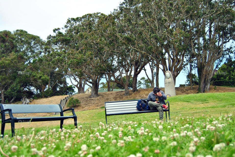 man seated at a bench in Fort Mason, San Francisco, poppy fields, summer days