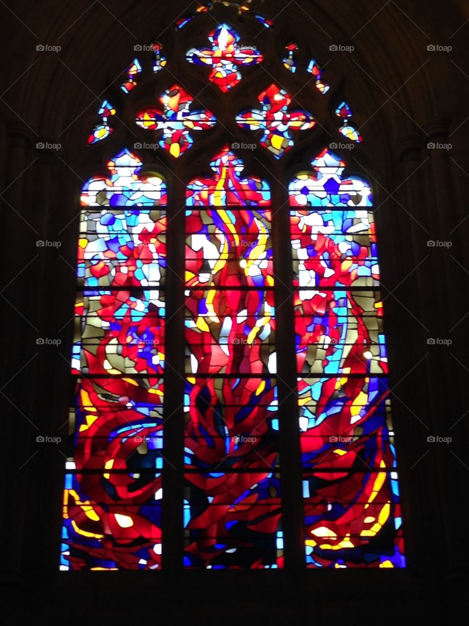 National Cathedral 10