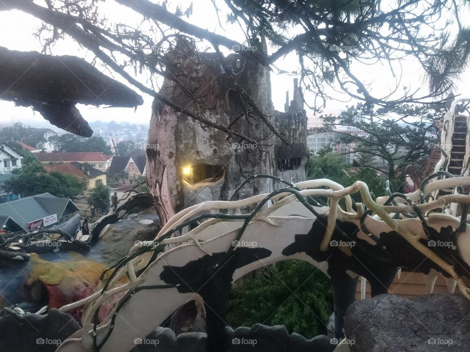 People, No Person, Group, Travel, Tree