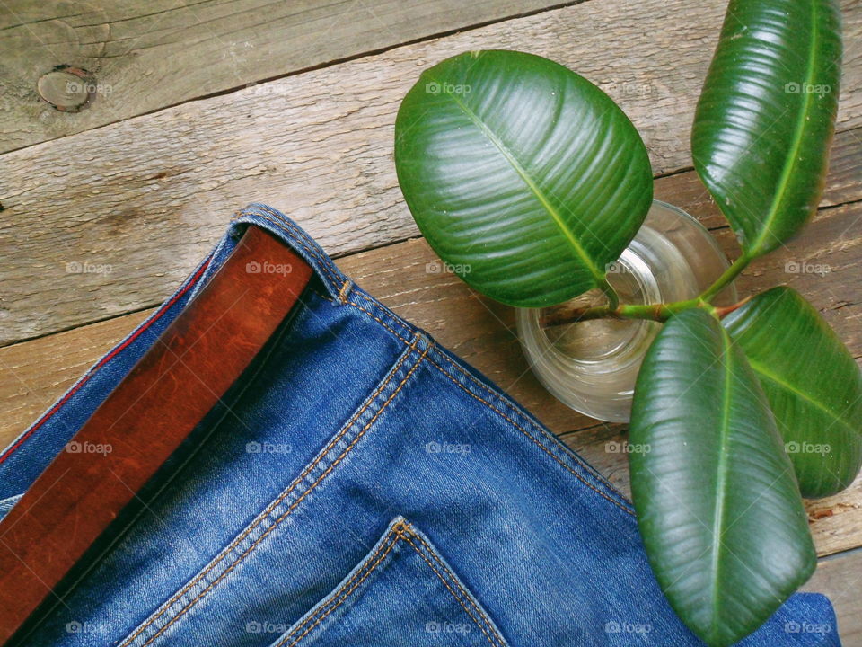 jeans and a green plant in a glass