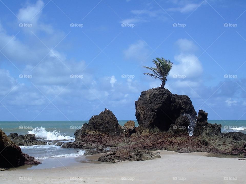 Tambaba Beach in Brazil