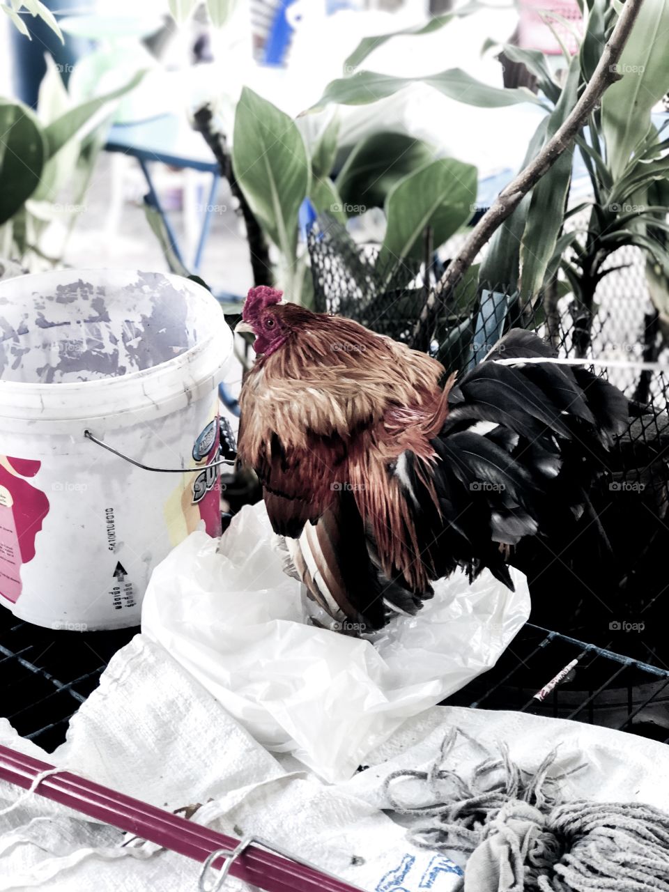 Sometimes you win, Sometime you learn.