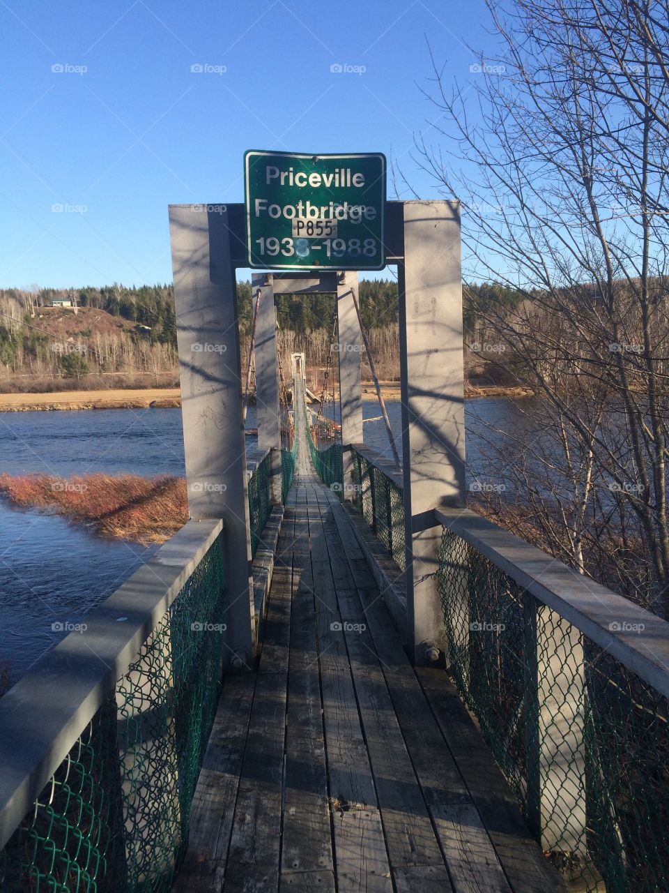 Priceville foot bridge 