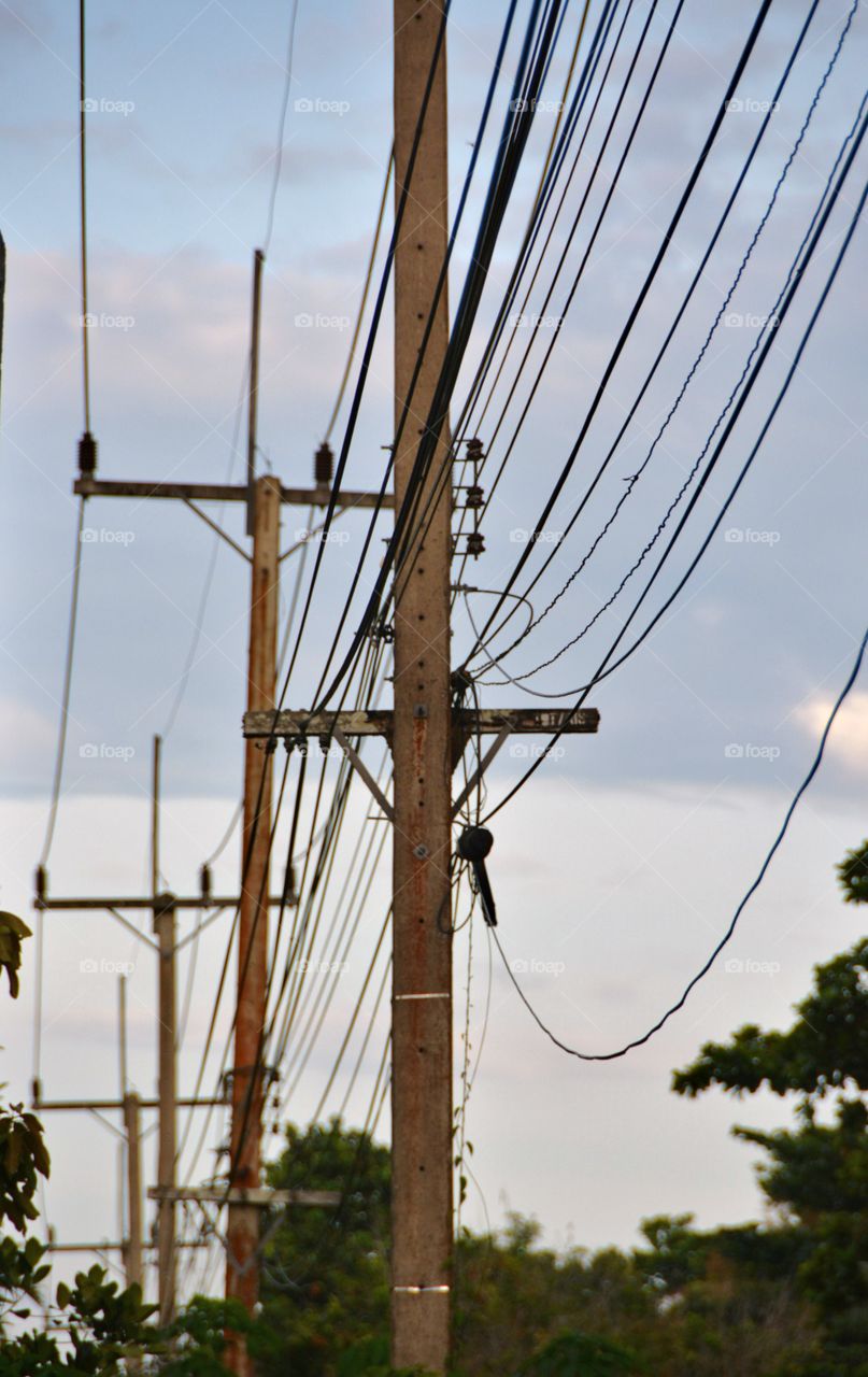 Electric power line