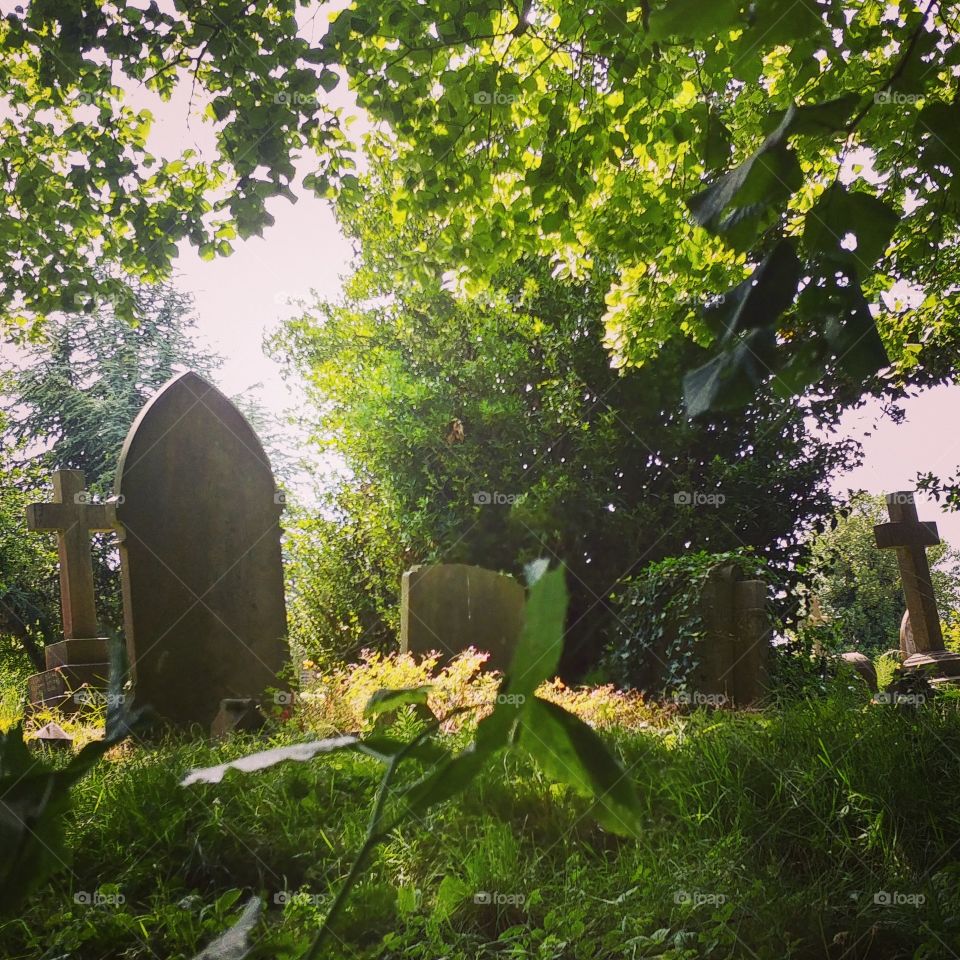 overgrown victorian graves in old cemetery on summers day