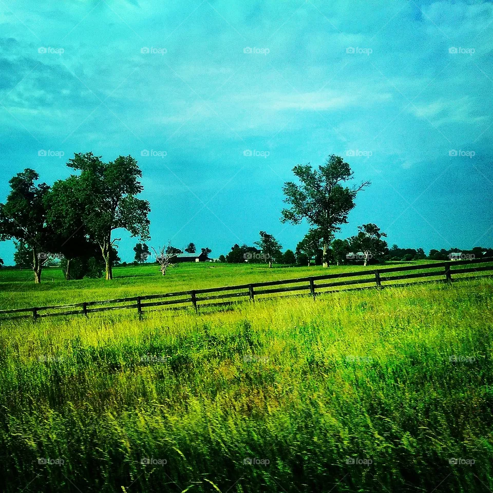 Kentucky 