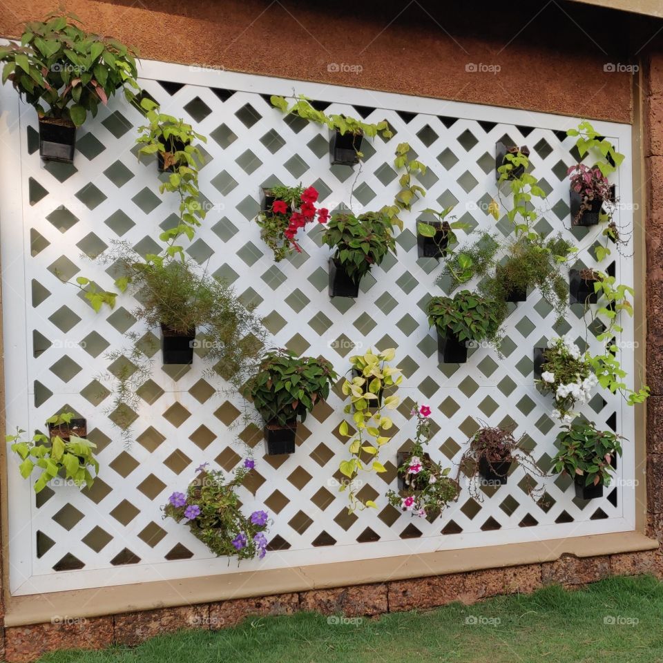 hanging pots and plants around us.🙂