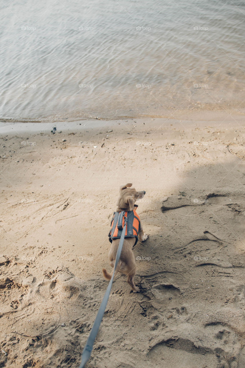 Tomales Bay vacation