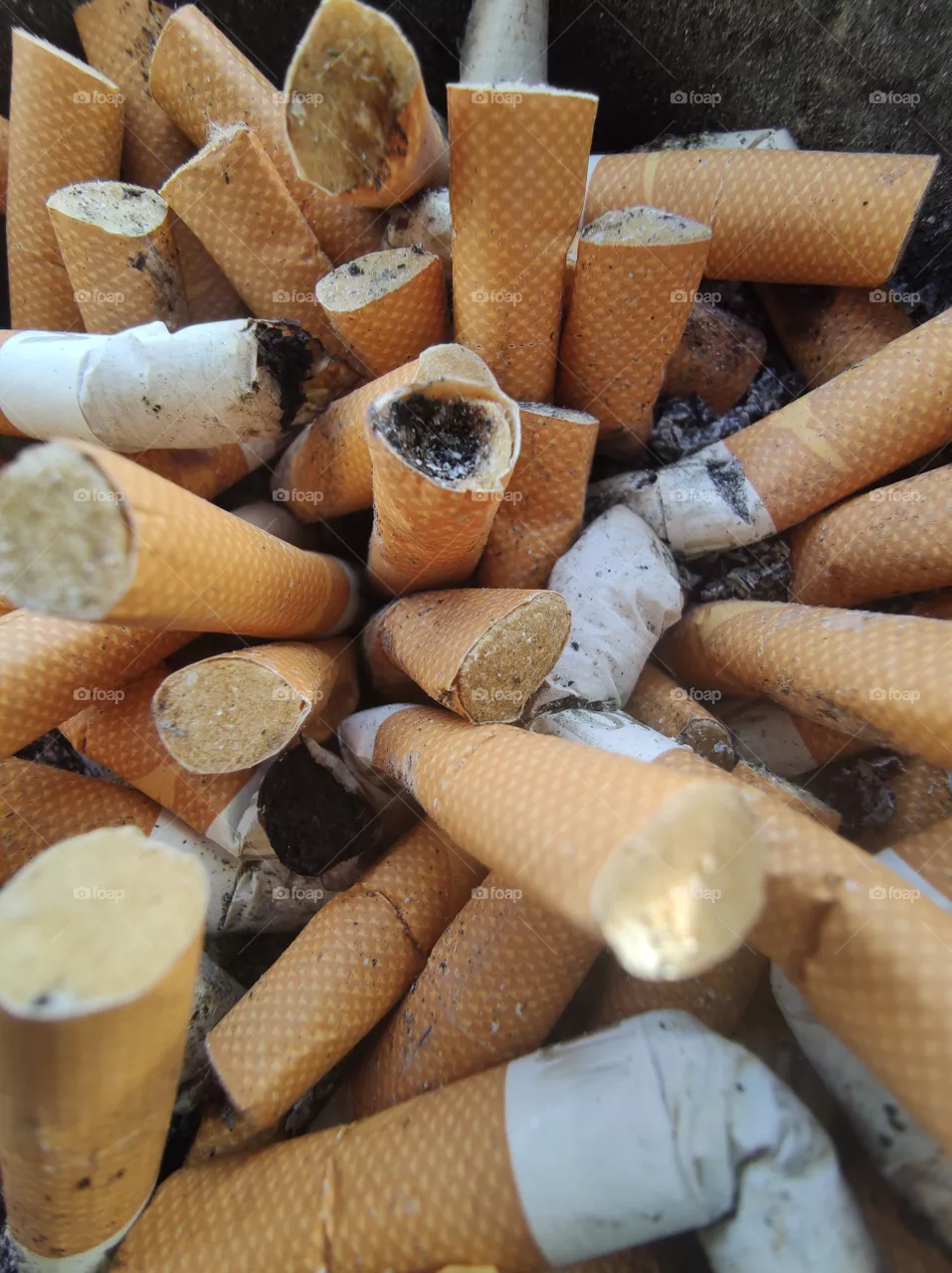 cigarette butt