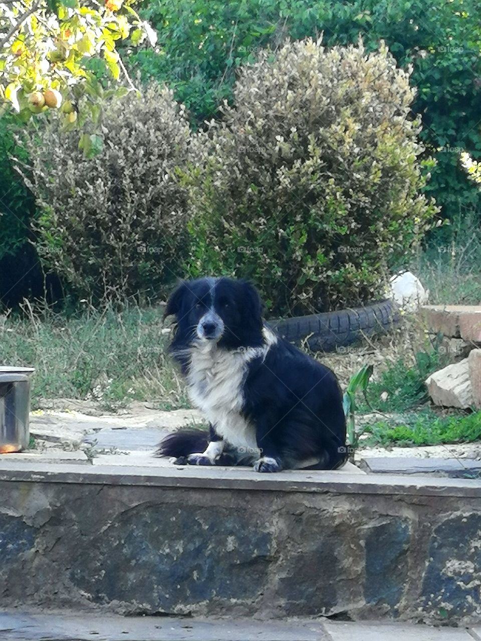 Best friend in the whole world