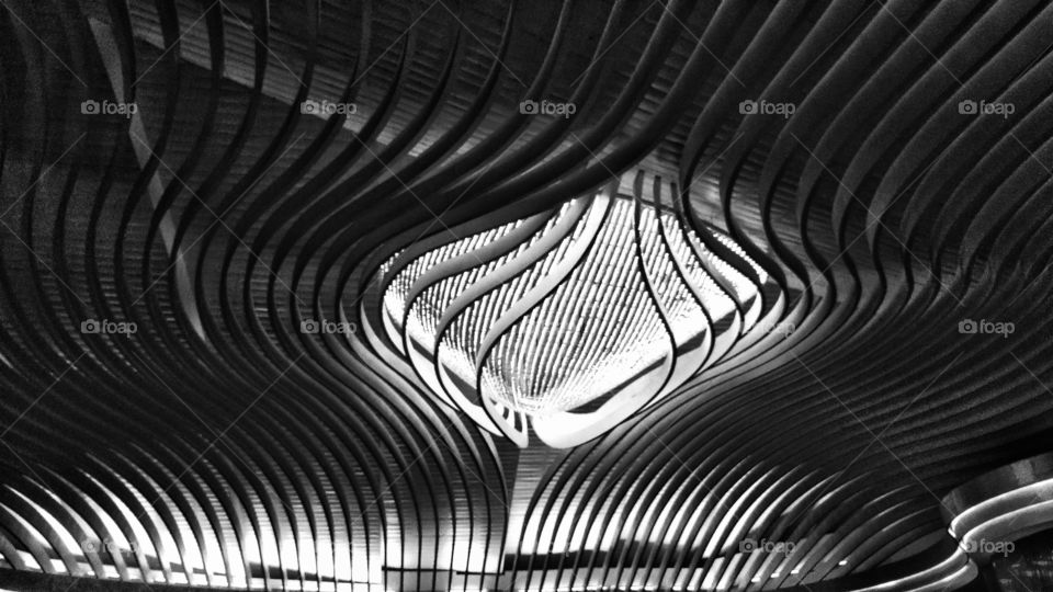 decorative ceiling. ornate ceiling