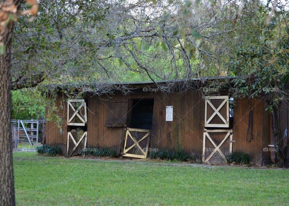 Old Barn