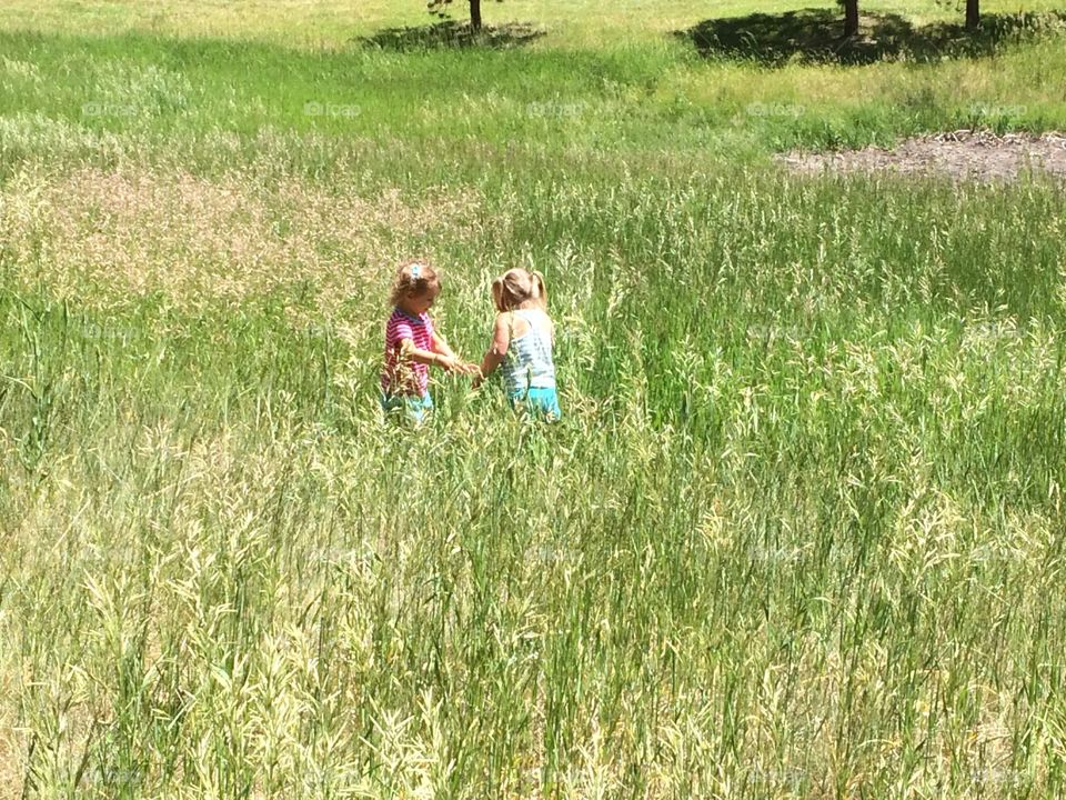 Friends in the fields 