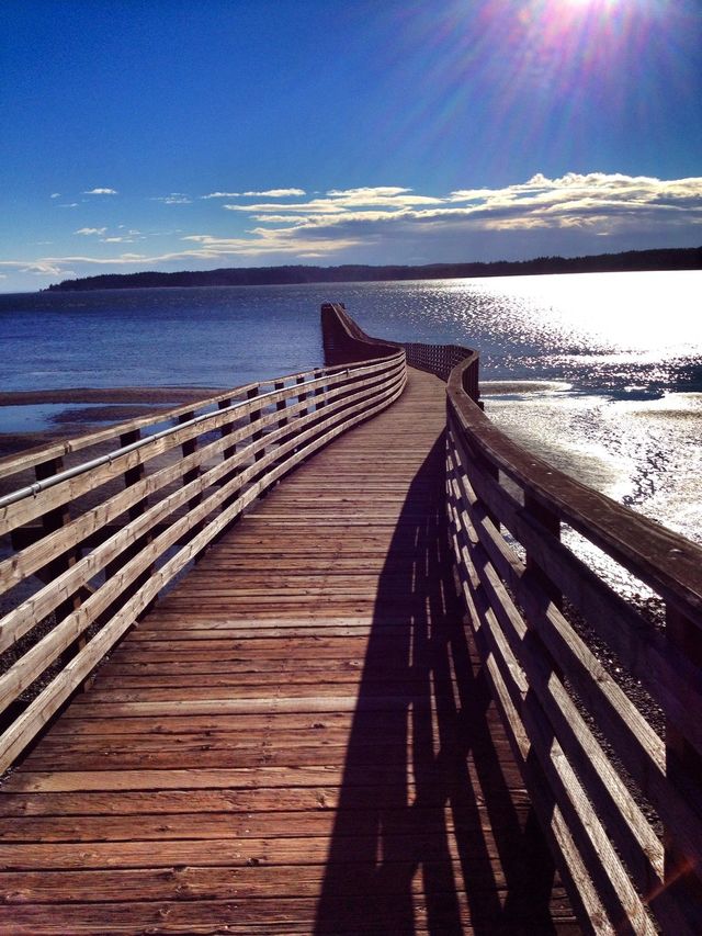 Dock
