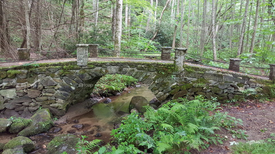 Stone Bridge at Elkmont