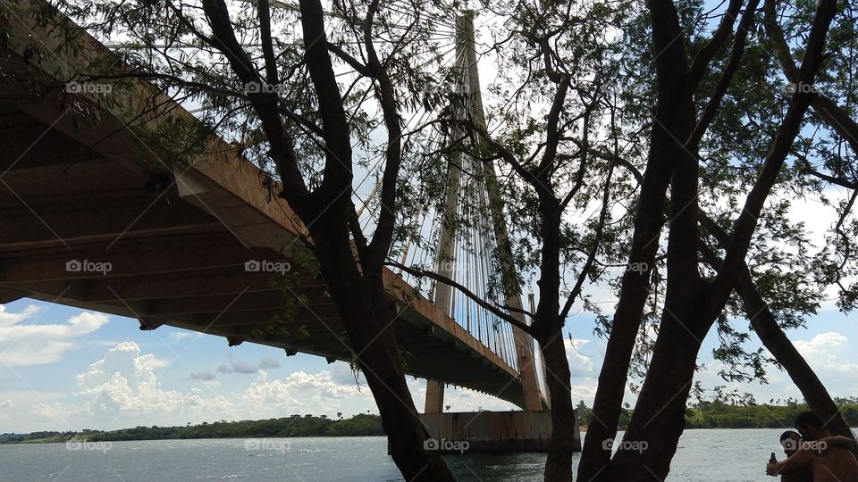 Turismo, ponte suspensa, rio, água.