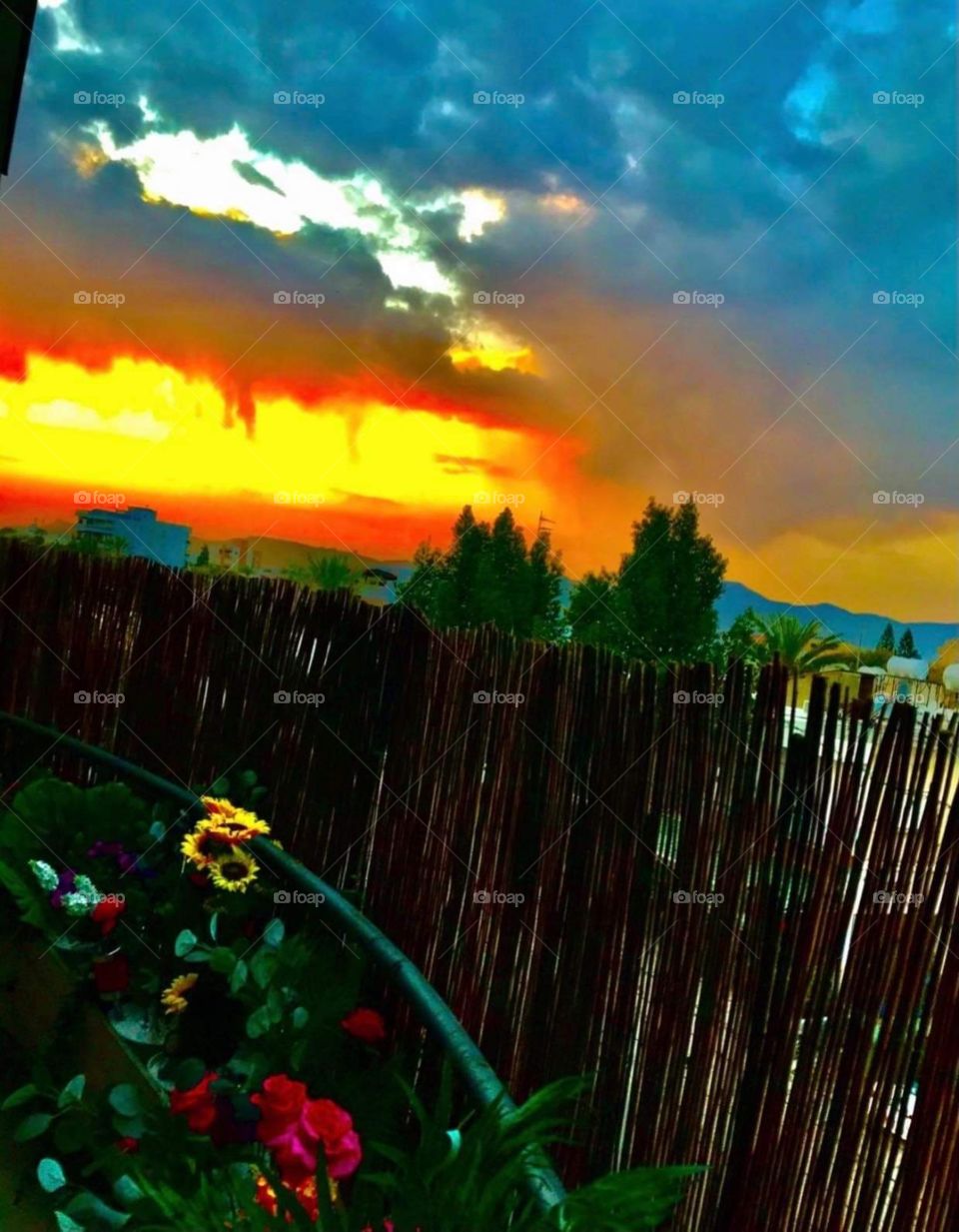 Color : Yellow / Still Life / Sunset Lover / Magic Cyprus / Magnificent/ My Magic World Through My eyes / Sky Explosion - Cyprus - Nicosia - Limassol Kurio