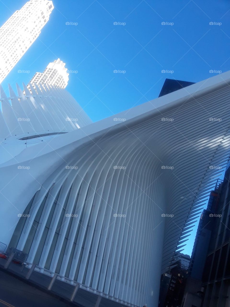 Oculus transportation hub