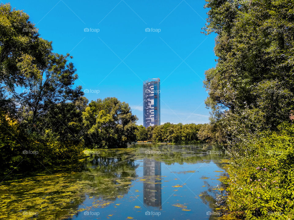 Symmetry created on the water reflection of the DHL central office and the trees of Rheinaue park in Bonn, Germany