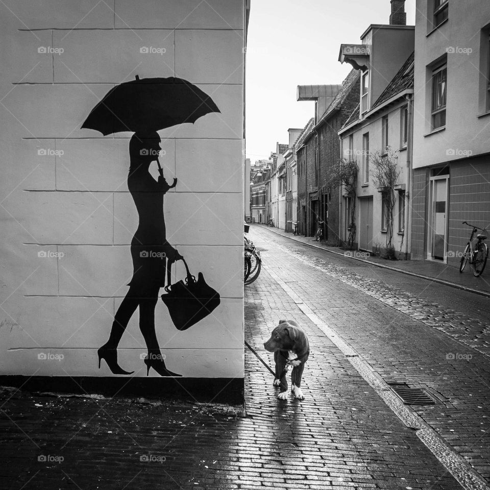 dog woman street