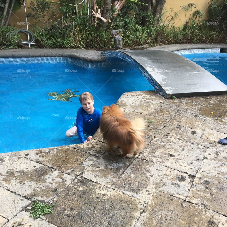 Doggy enjoy the pool 