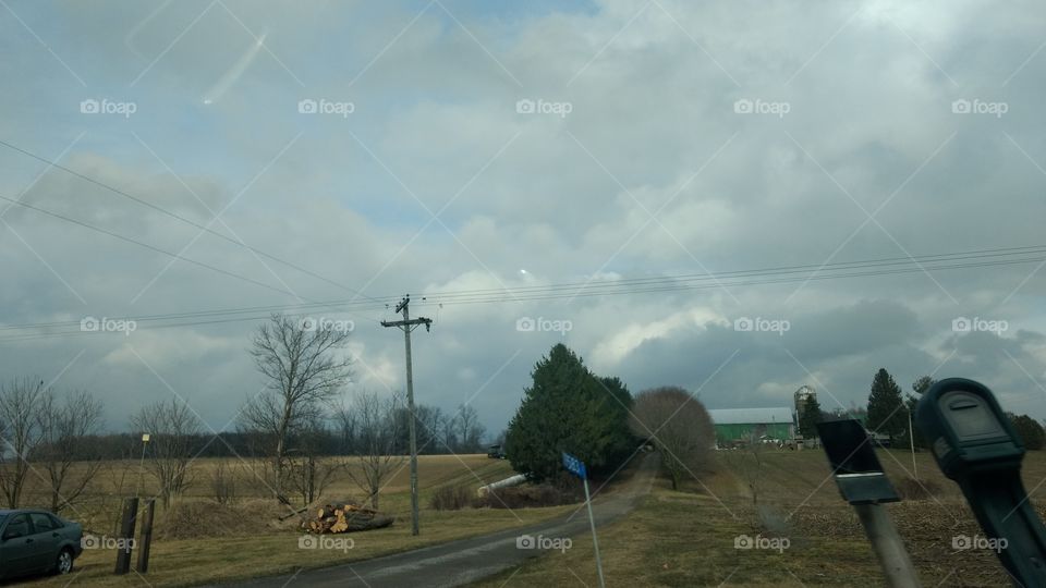 Landscape, Tree, Environment, Sky, Farm