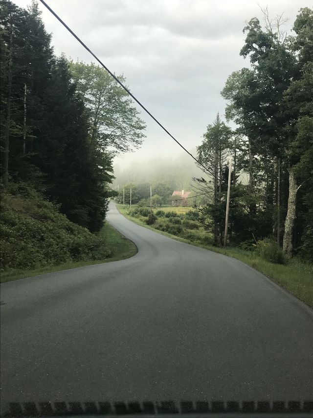 Morning Fog