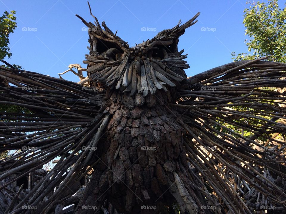 Hibou en bois flotté