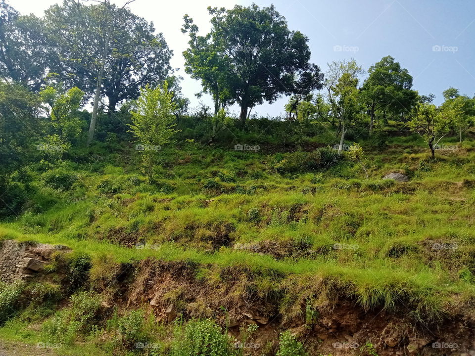 The fields were filled with people and crops in the golden bygone past 😔