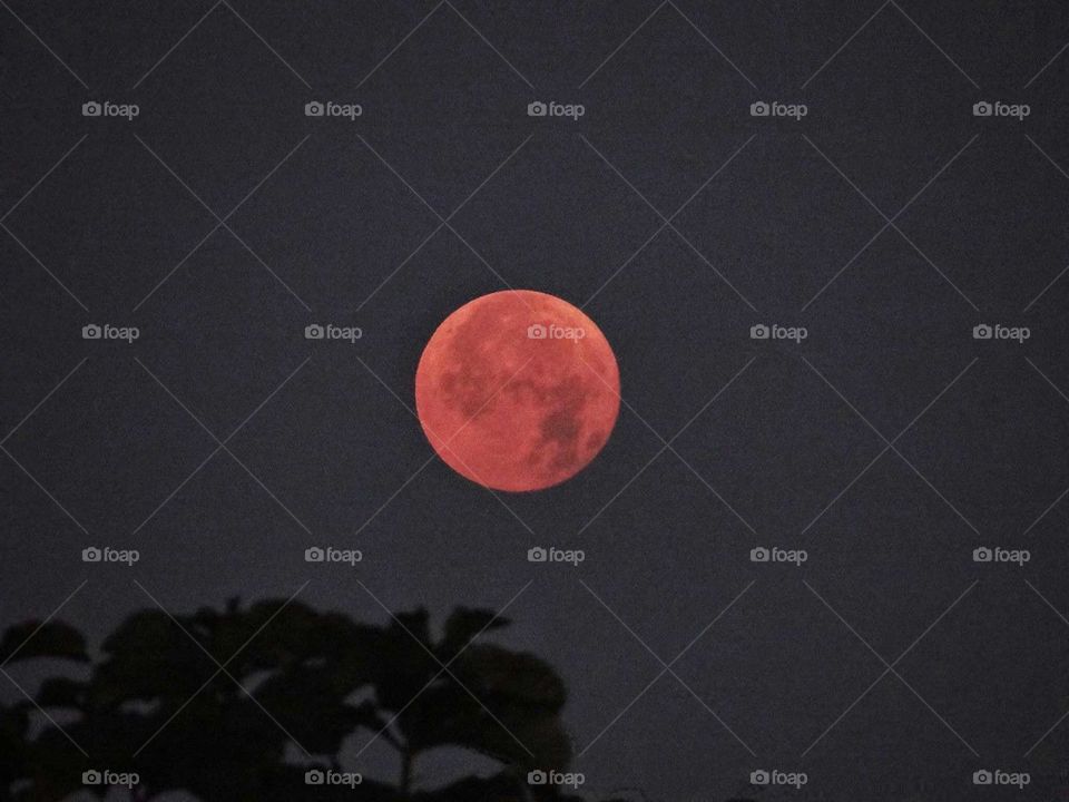 blood moon