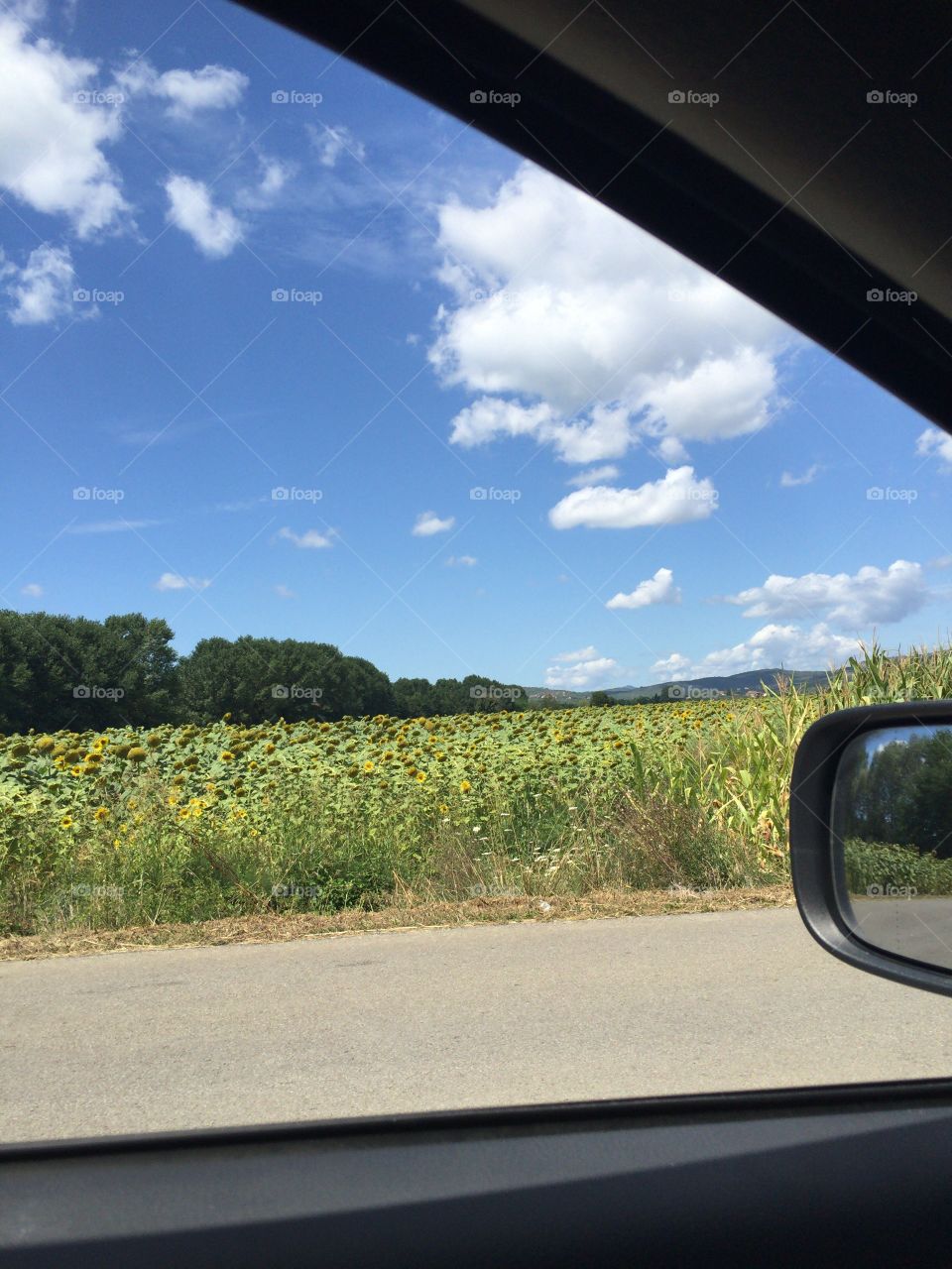 Landscape, Travel, Transportation System, Sky, Road