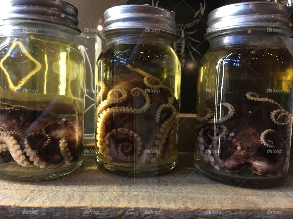 Jars with octopus in them
